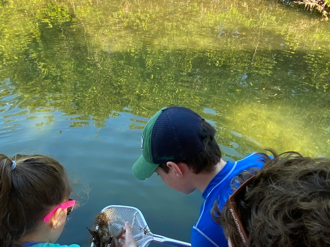 Blake Tours-Cape Haze必去景点