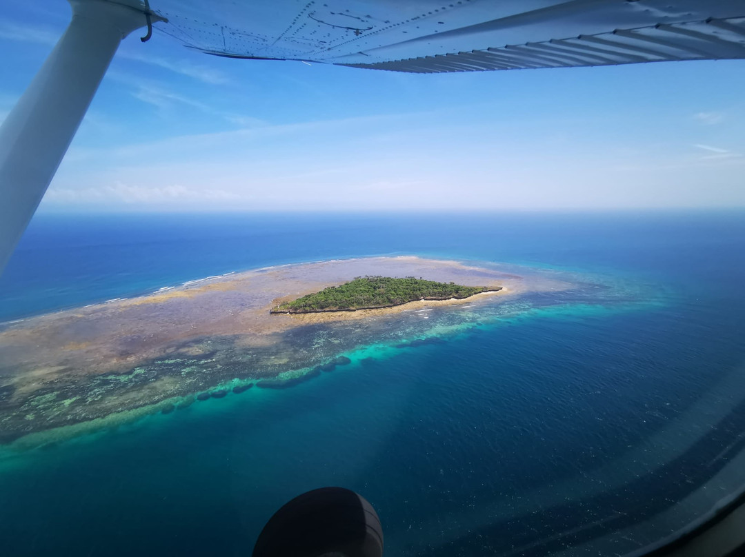 Wild Coast Air Safaris景点图片