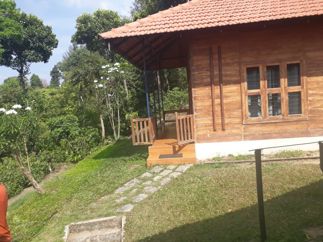 Marmalade Springs主图