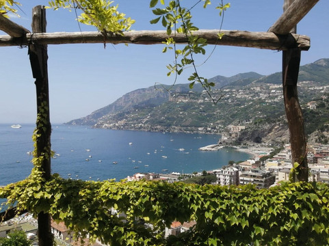 Orange Umbrella Tours