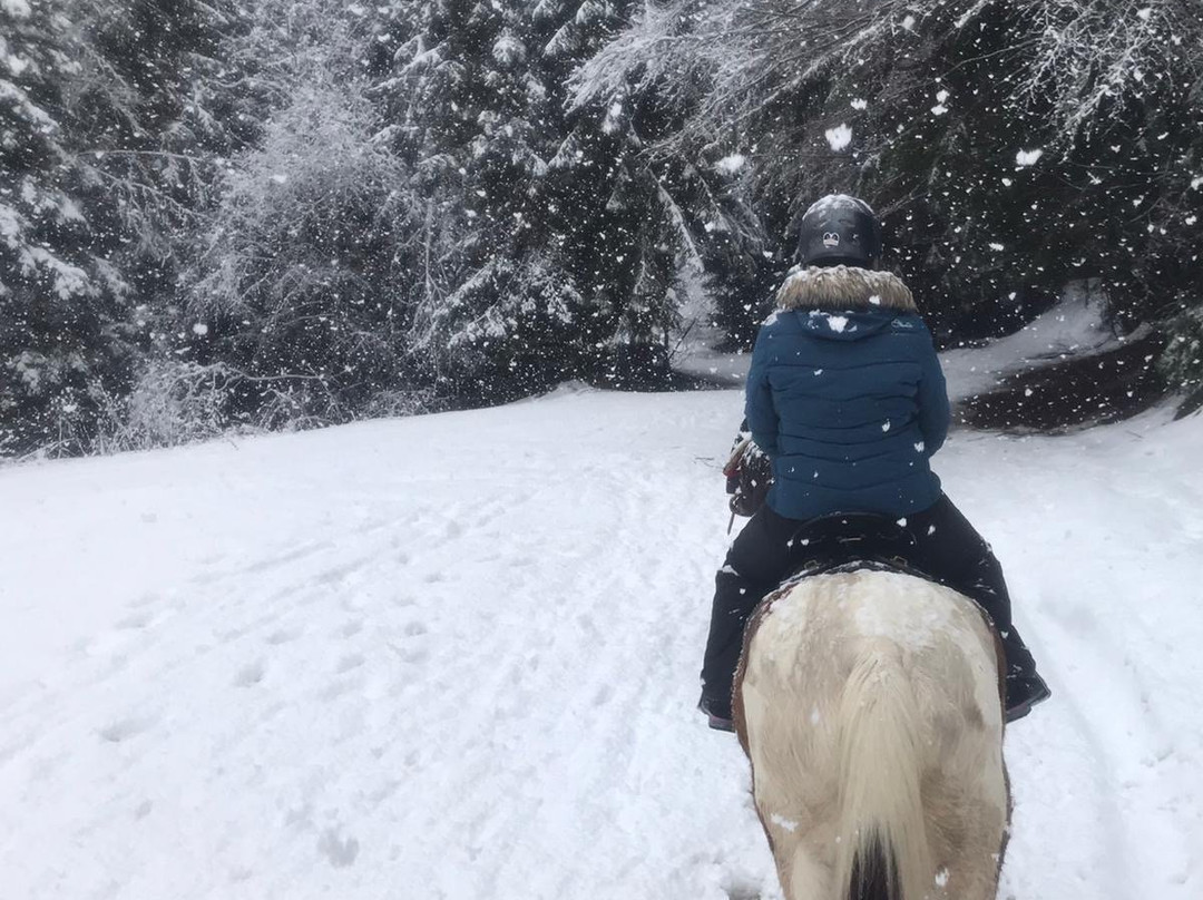 Horse Riding With Butch-波罗维兹必去景点