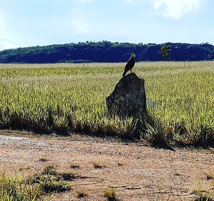 Canastratur-Capitolio必去景点