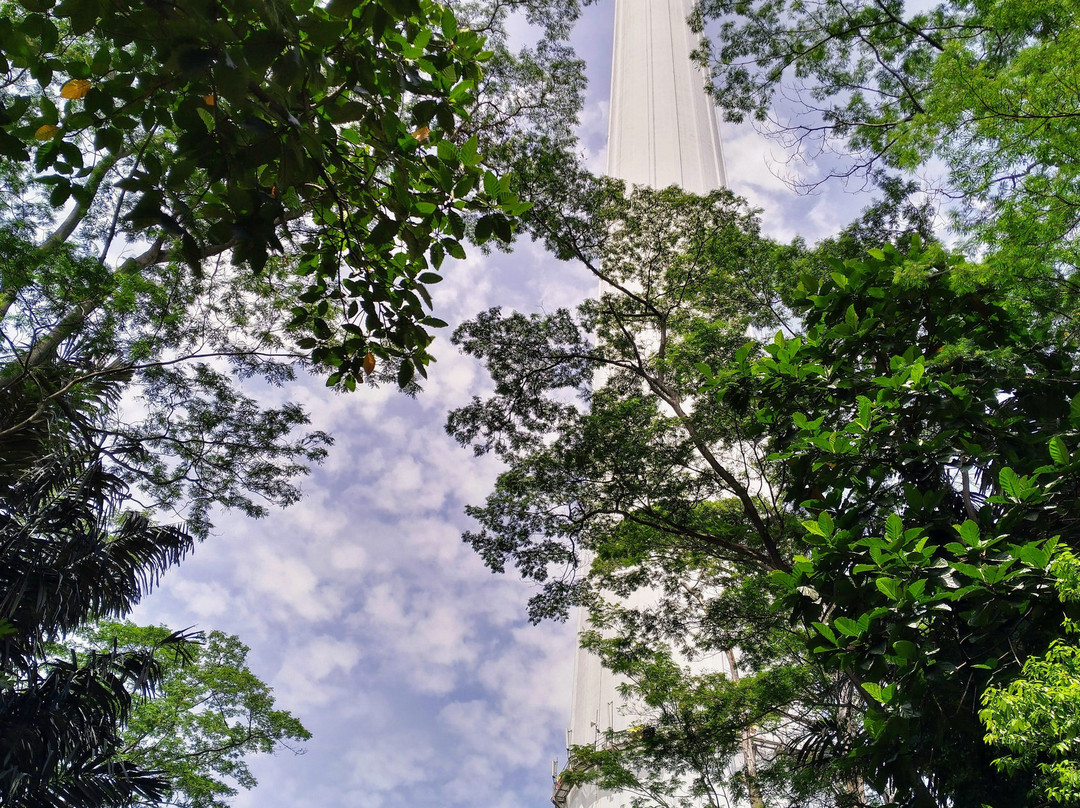 咖啡山森林保护区kl forest eco park
