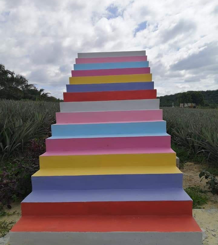 Sky Ladder Pineapple Farm景点图片