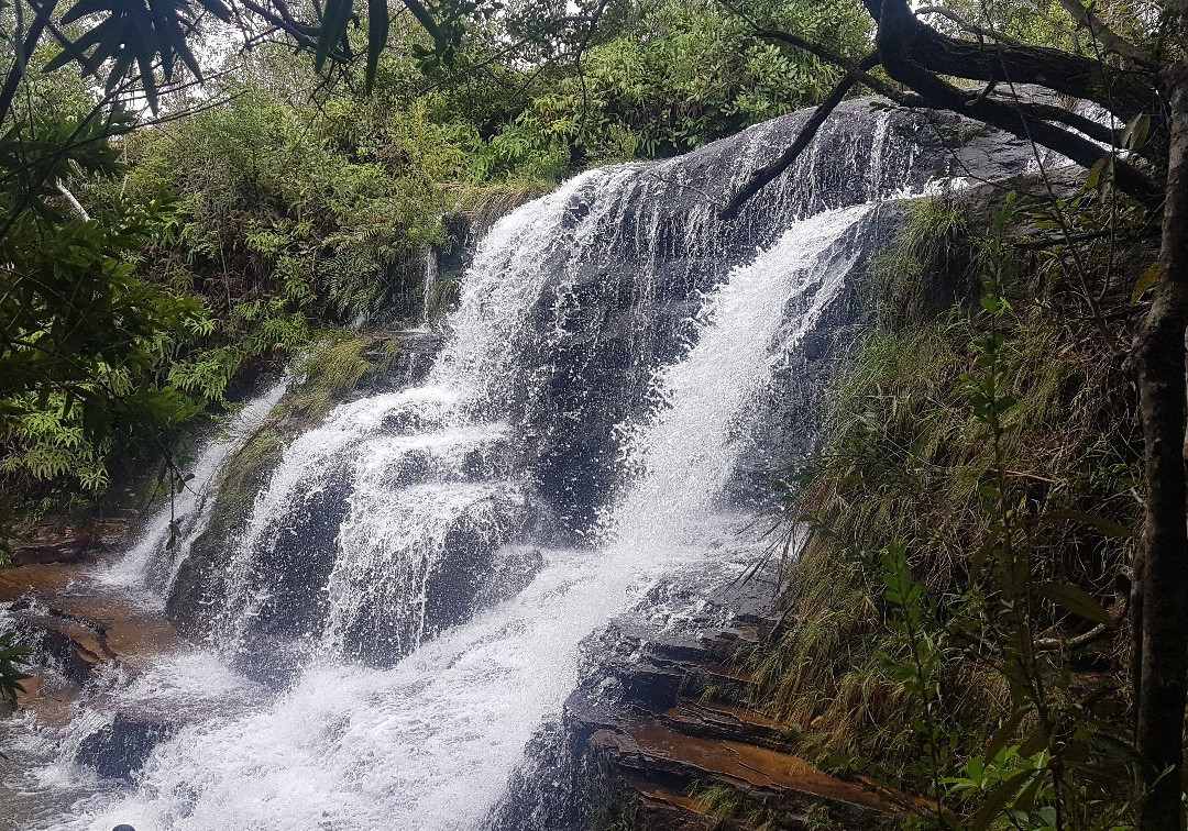 Salomao Waterfall景点图片