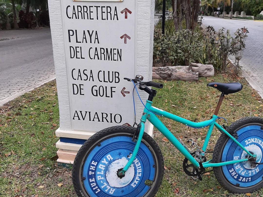 Sandos Playacar主图