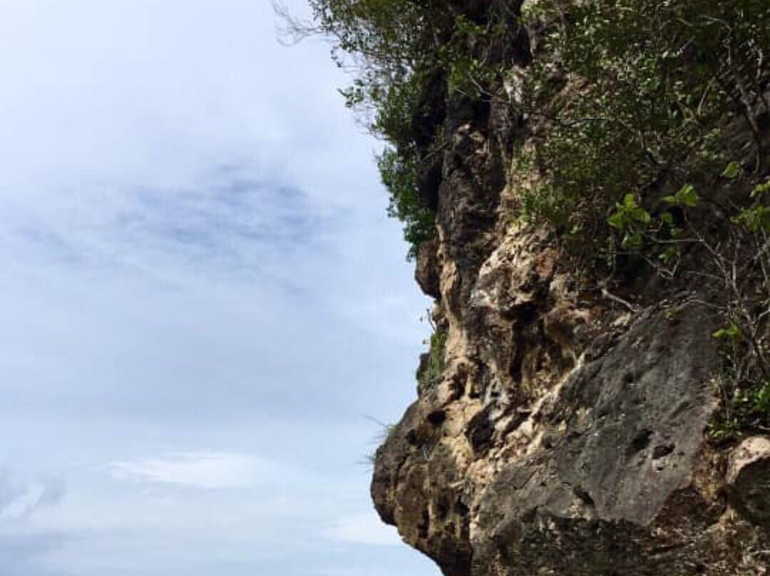 Bojo River-Aloguinsan必去景点
