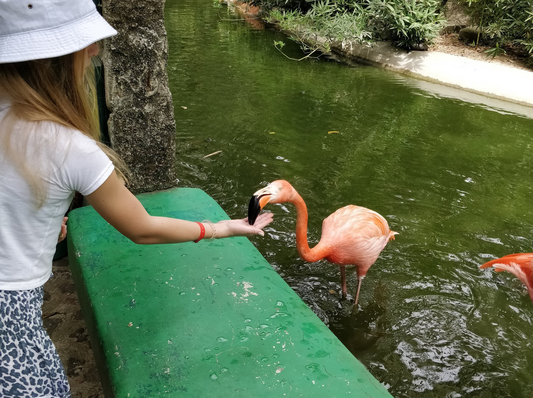 Zoologico de Vallarta景点图片