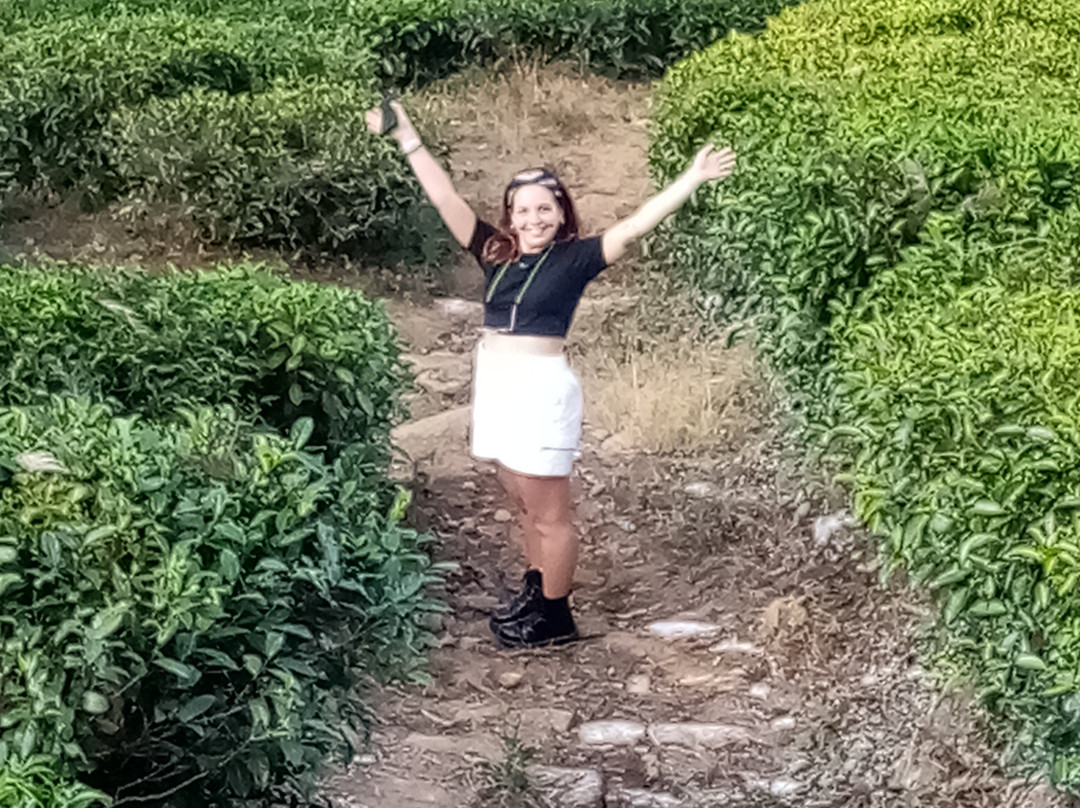 Faith Tours-奴娃拉伊利雅必去景点