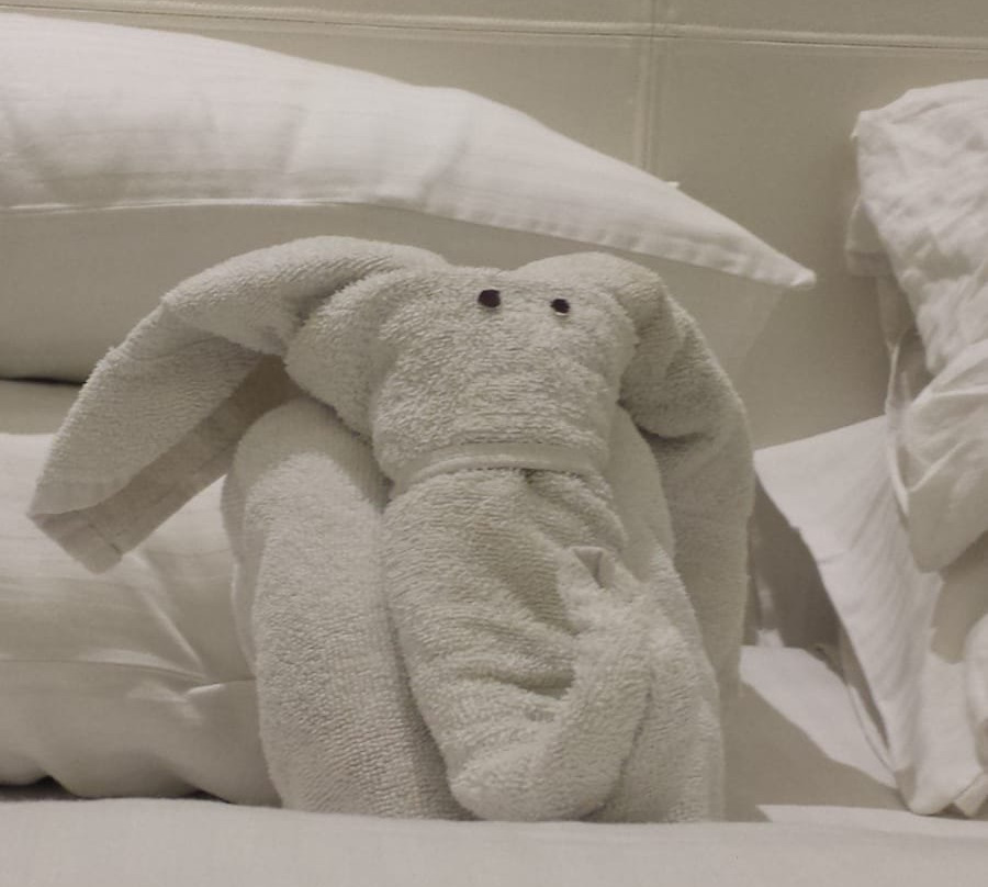 Divine Clarks Inn Suites主图