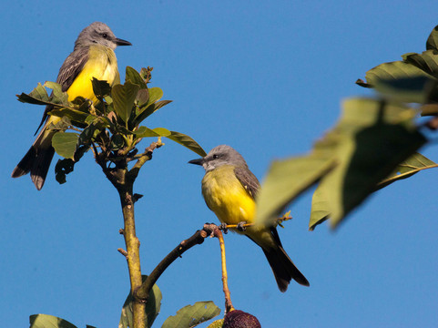 Coliving la Boira主图