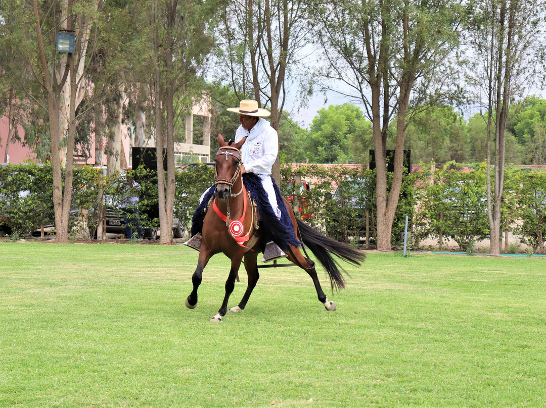 Travel Adventures Peru-Huacachina必去景点
