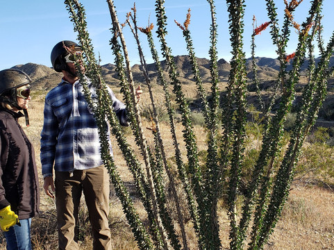 Desert Stewards - UTV Eco Adventure Tours-Chiriaco Summit必去景点