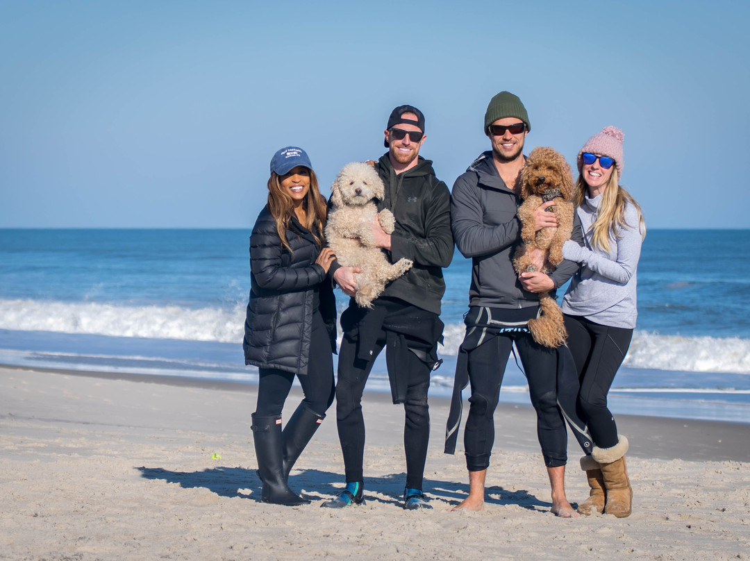 Assateague Island Tours景点图片