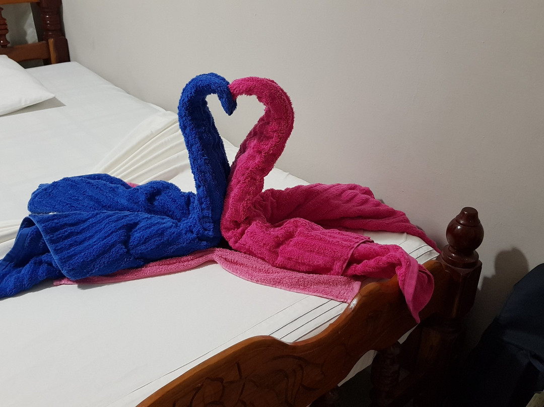 Casa Dra Alicia主图