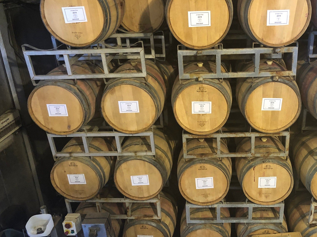 Tishbi Estate Winery-Binyamina必去景点