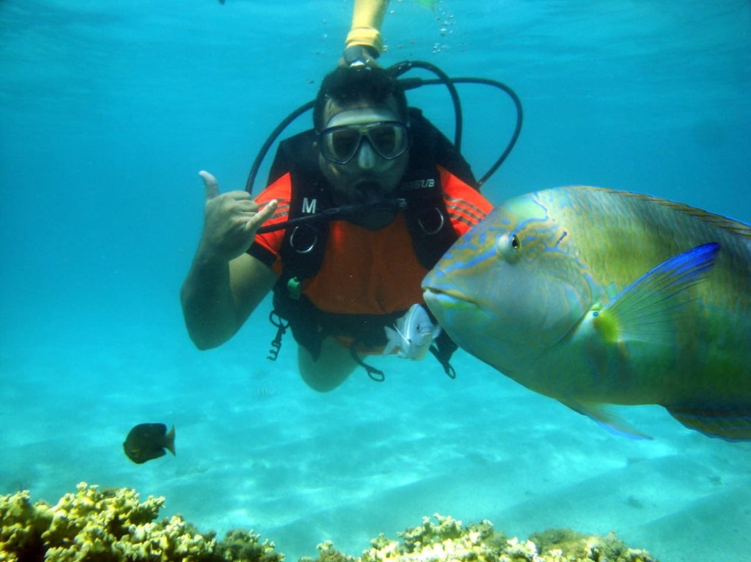 Explorer Diving-Maragogi必去景点