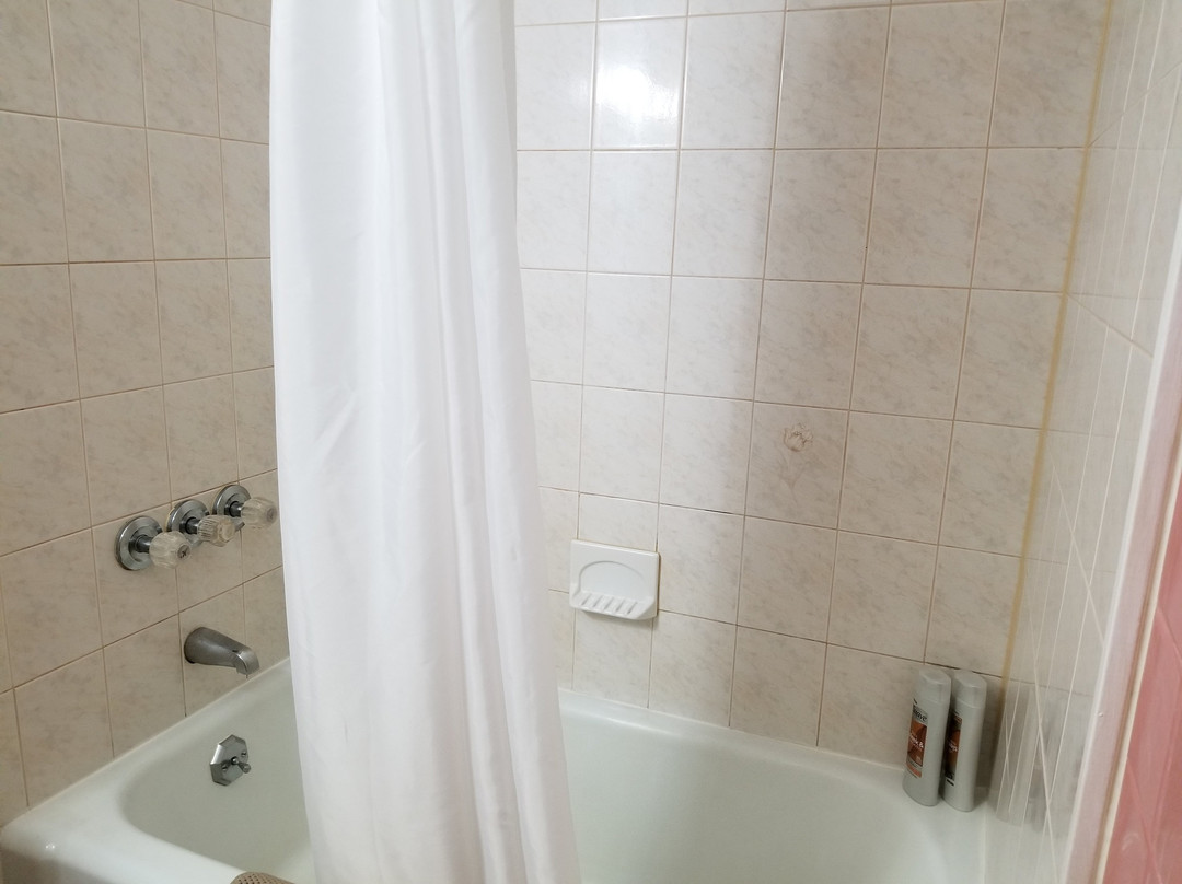 Black Bear Lodge主图