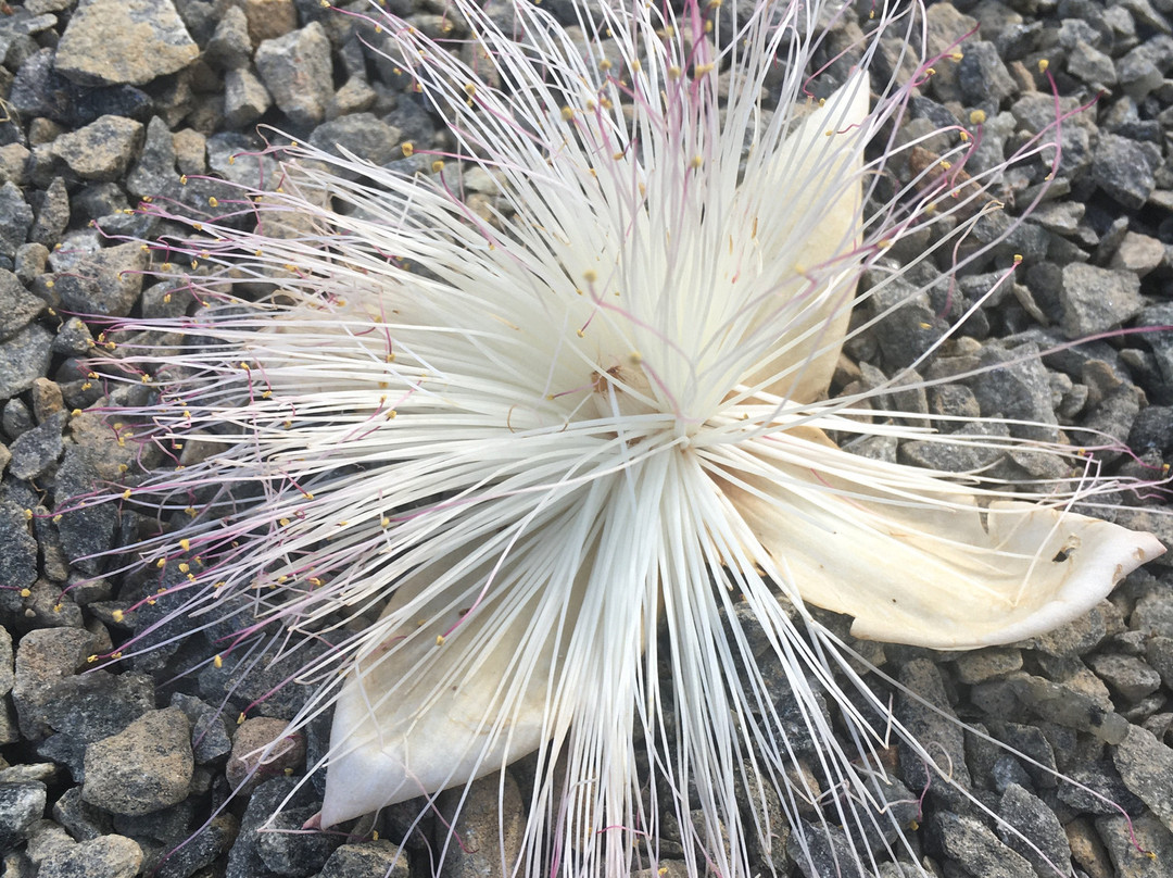 Kingdom Resort主图