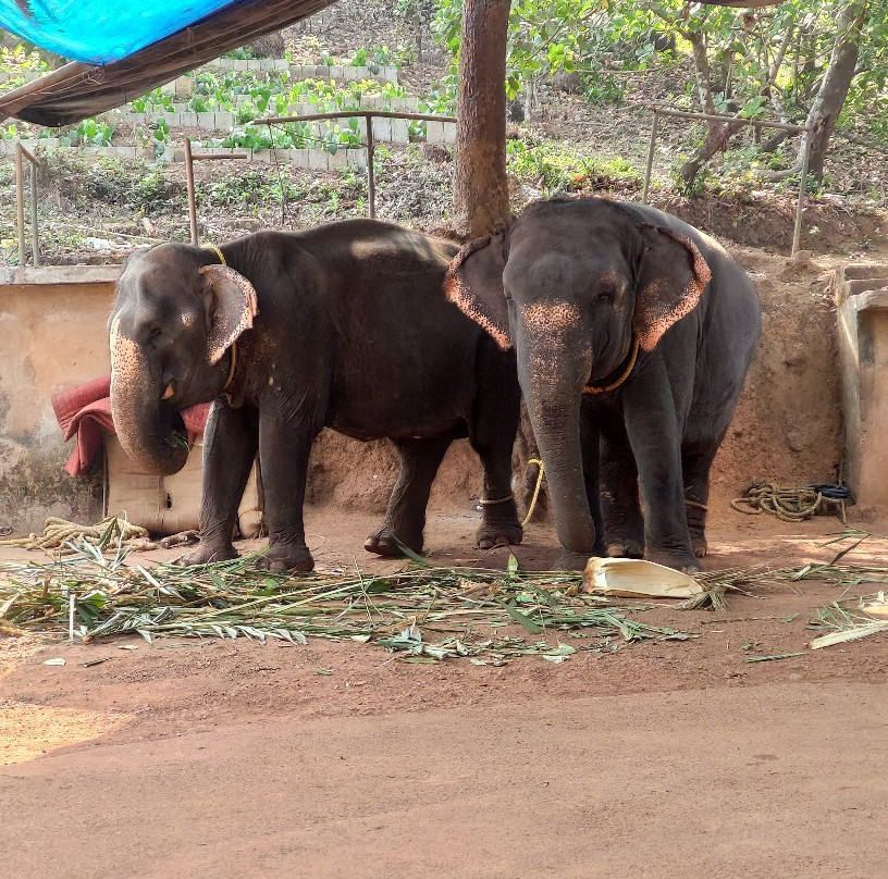 Sahyadri Spice Farm-巴德士必去景点