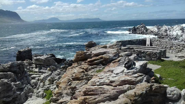 Camino Wine Tours-斯泰伦博斯必去景点