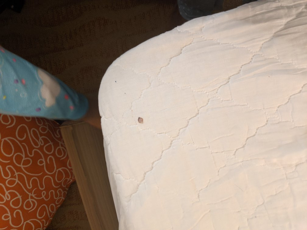 SpringHill Suites Mt. Laurel Cherry Hill主图