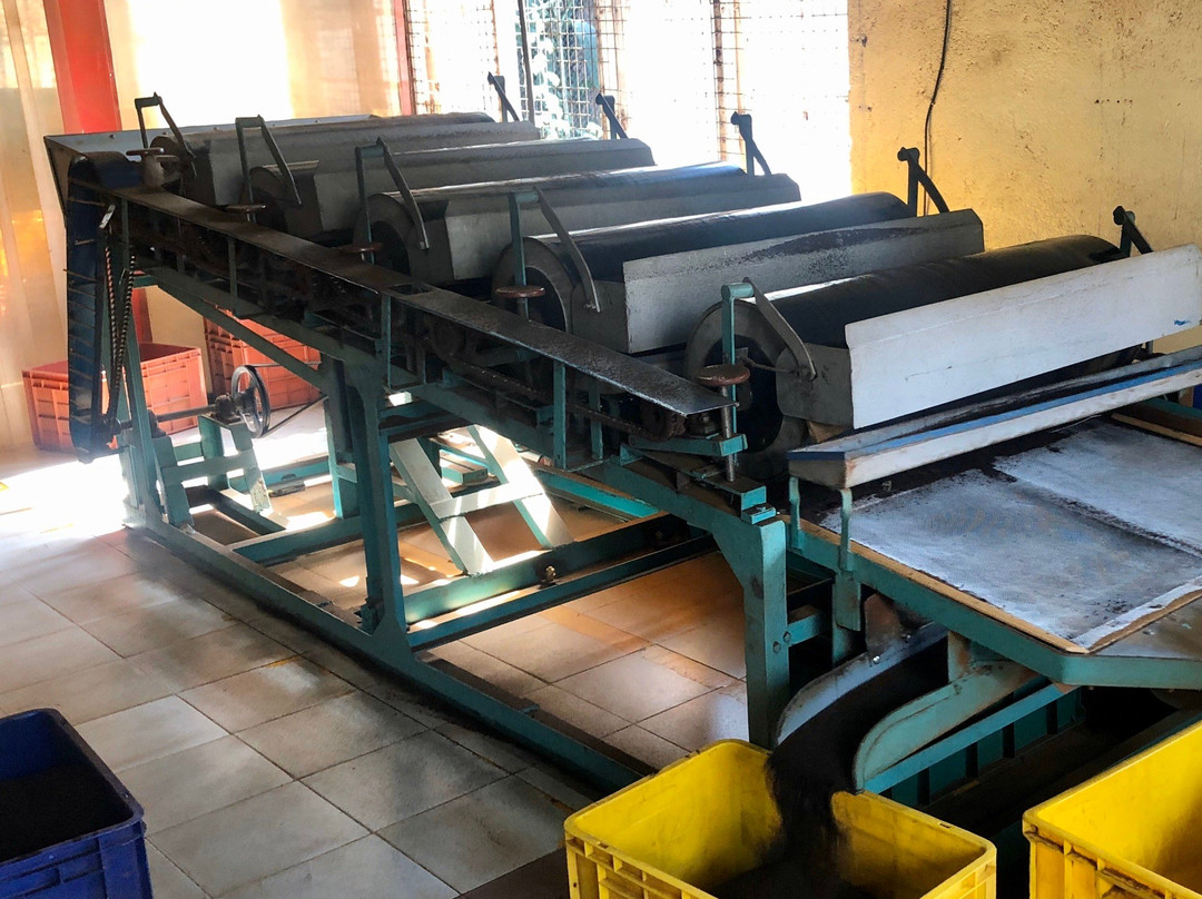 Kurugama Tea Factory景点图片
