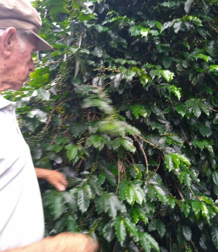 Fazenda NInho da Aguia-Alto Caparao必去景点