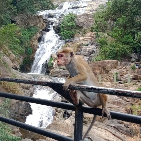 埃拉岩-埃勒必去景点