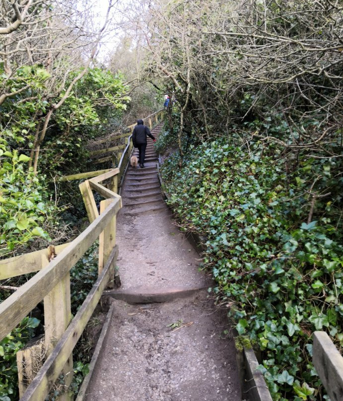 Thurstaston Beach景点图片