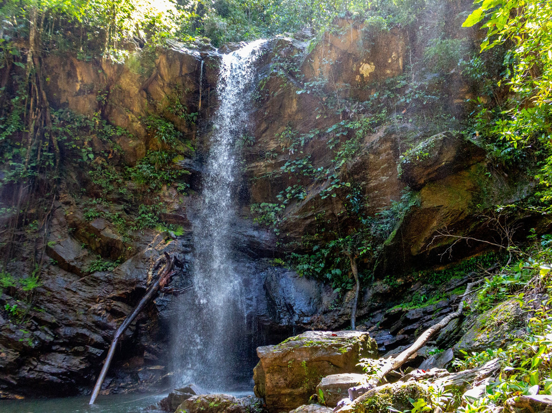 Avocat Waterfall-Blanchisseuse必去景点