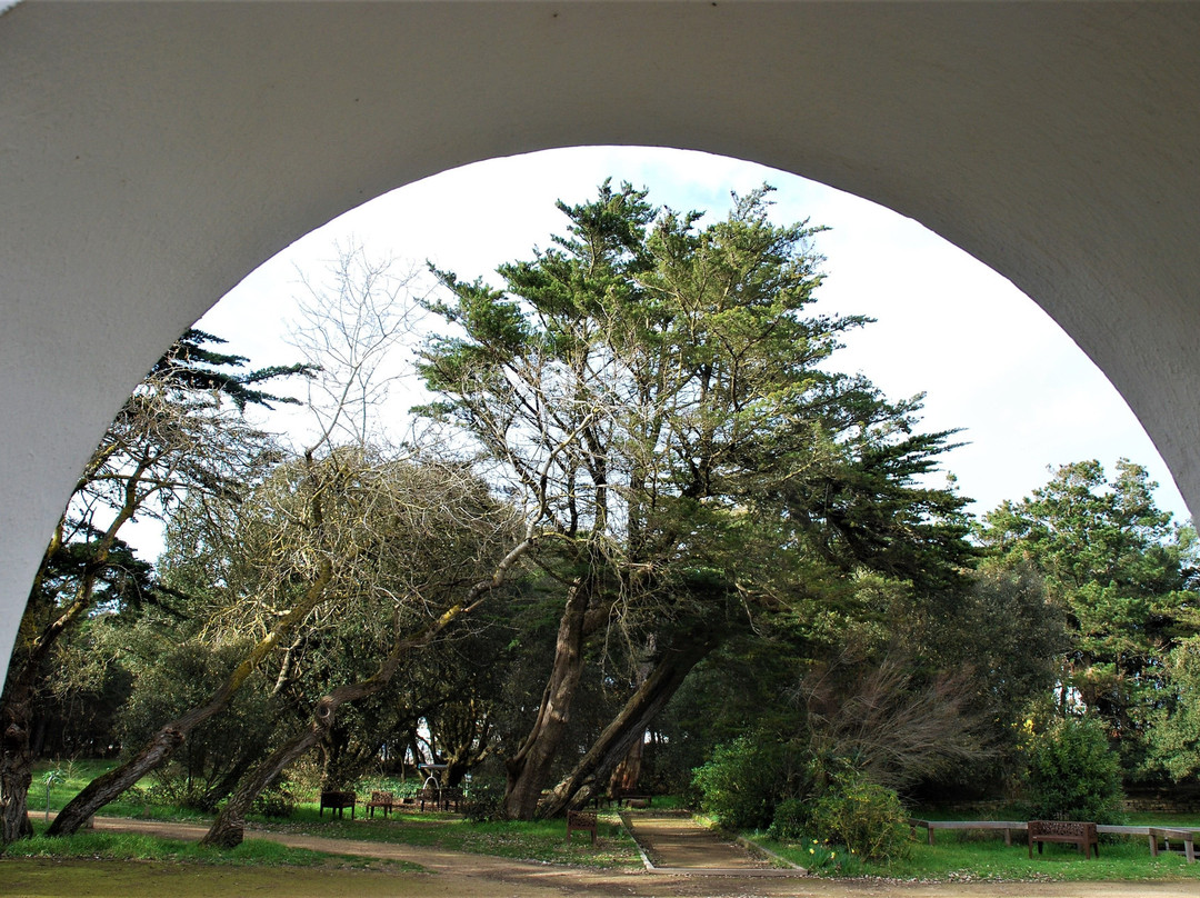 Villa Grosse Terre景点图片