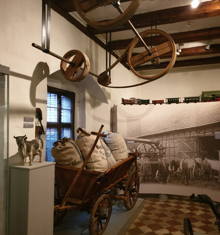 Museum für Thüringer Volkskunde-爱尔福特必去景点