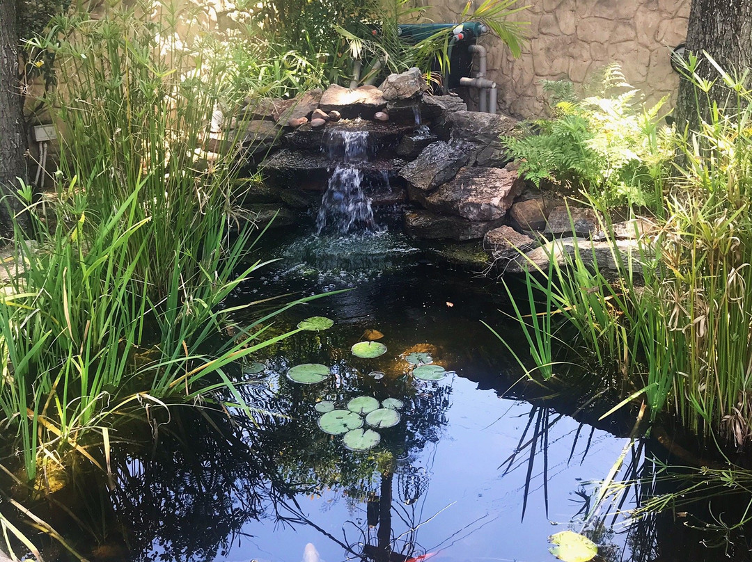 49 On Cherry Guesthouse主图