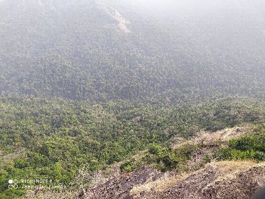 Bisle Ghat View Point景点图片