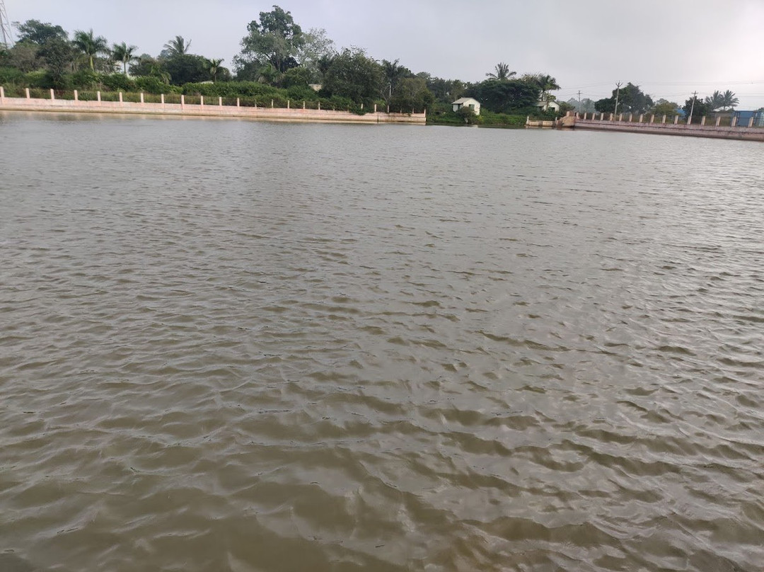 Nilavoor Lake景点图片