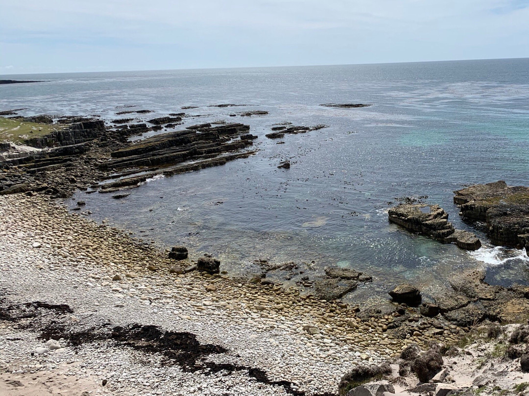 North Ponds Park-Webster必去景点