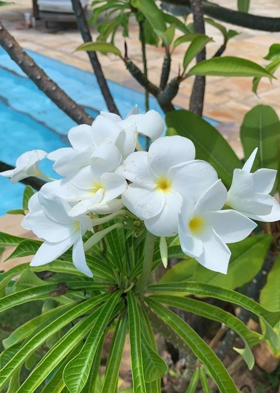 Hotel Pousada Beleza das Ondas主图