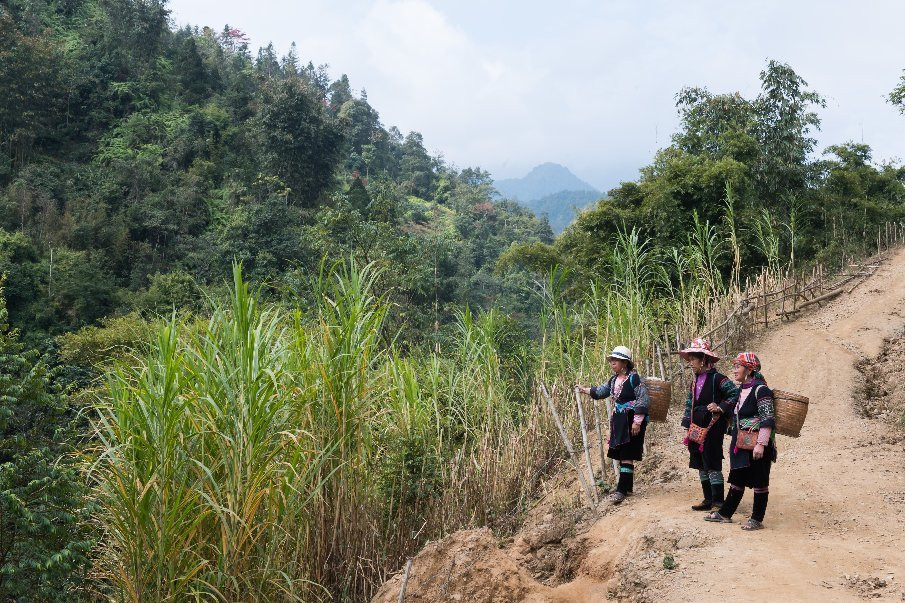 Sapa Hmong Family Trekking Adventures-沙巴必去景点