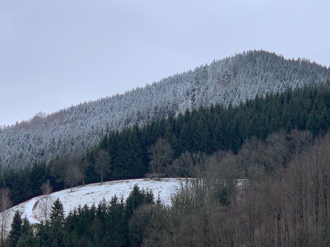 ElzLand Hotel Pfauen主图
