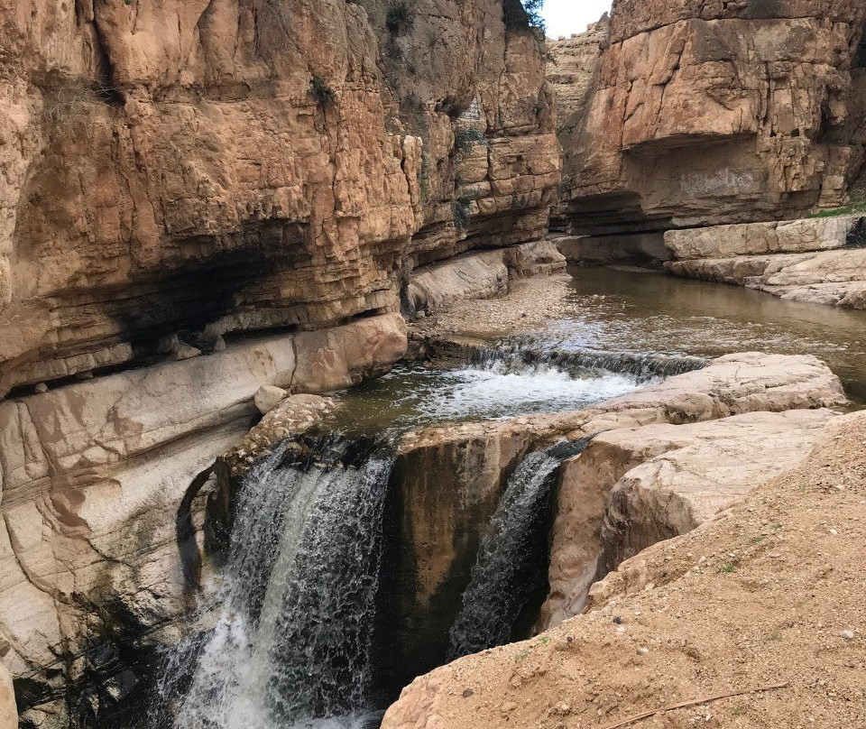 Ayat Palestine Tours-Hebron必去景点