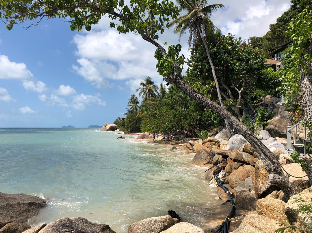 Le Palais Hotel主图