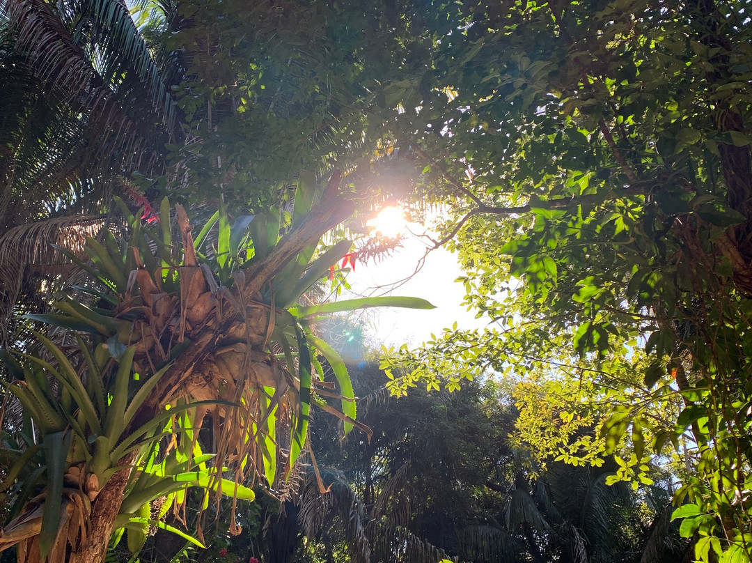 Lo de Perla Jungle Garden-旧金山必去景点