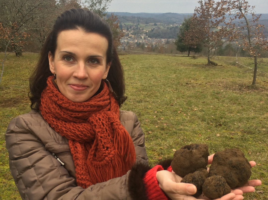 Domaine de Lascaux主图