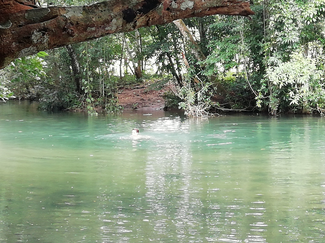 Welib Ja Waterfalls-帕伦克必去景点