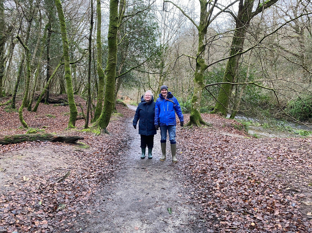 Lanhydrock and Respryn Circular Walk景点图片