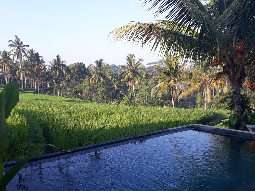 Kenderan酒店住宿-杜古村家庭旅馆