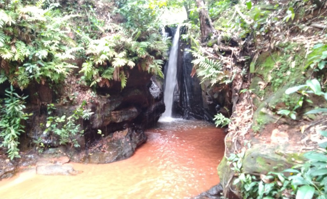 Cachoeira do Dodo景点图片