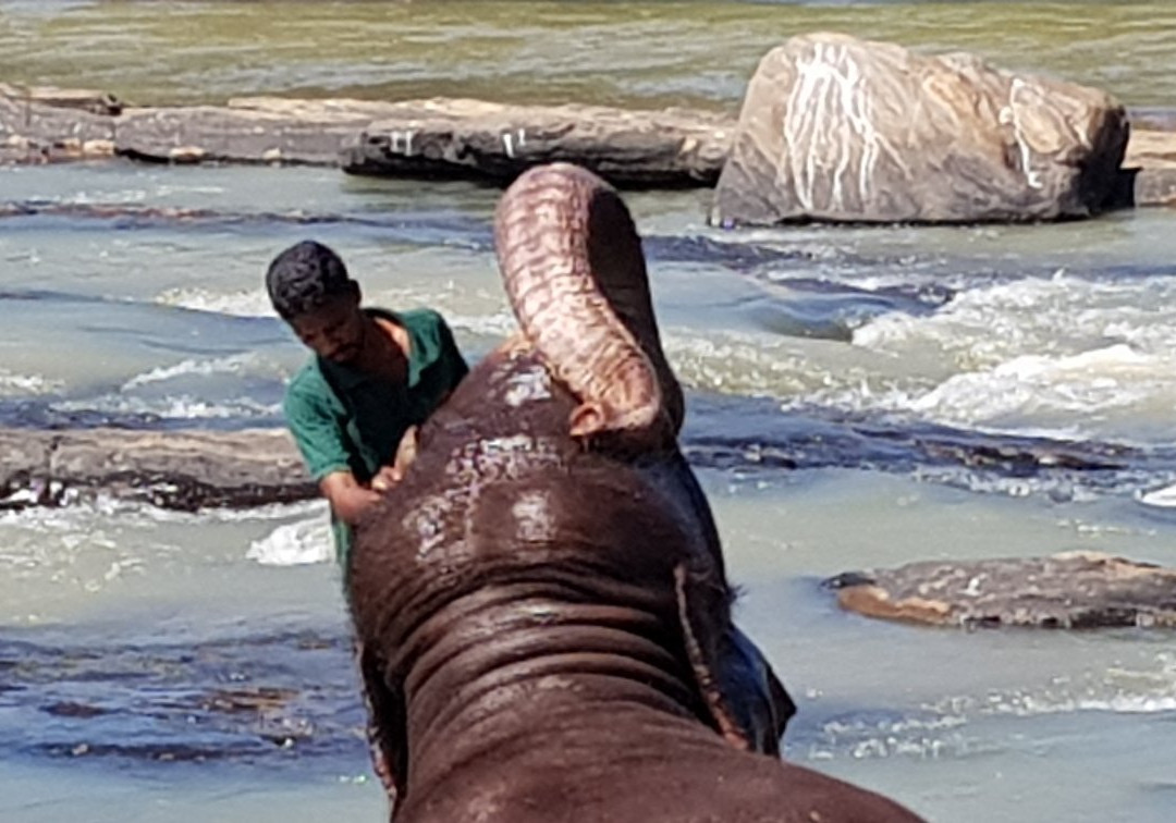 Hikkaduwa Taxi Service-希克杜沃必去景点