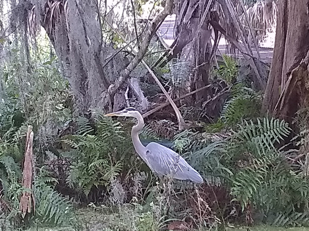 Trimble Park-Mount Dora必去景点